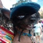 Profile Picture of Joe Dweck (@j_r_dweck) on Instagram