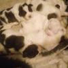 Profile Picture of Virginia Bloom298 (@@user894373564600) on Tiktok