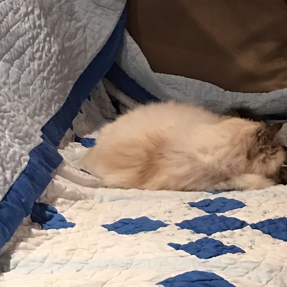 Profile Picture of Kelly Moore (@knmor) on Poshmark