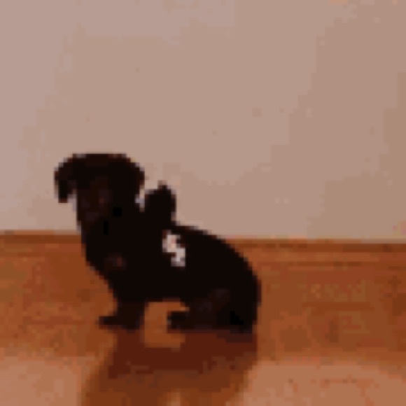 Profile Picture of Clara Ruport (@ruport_clara) on Poshmark