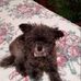 Profile Picture of Candie Huston (@candie.huston.90) on Facebook