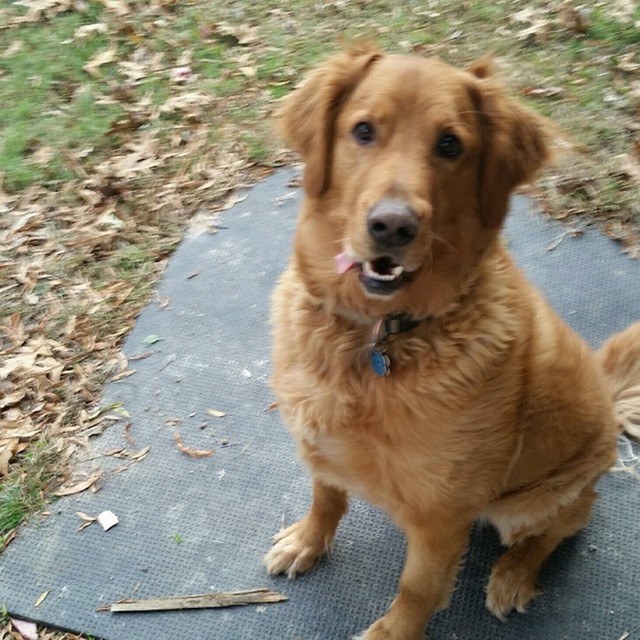 Profile Picture of Derek Roberts (@dmr8913) on Poshmark