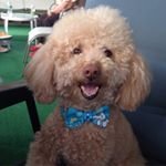 Profile Picture of herschel (@ecoryimedi) on Instagram