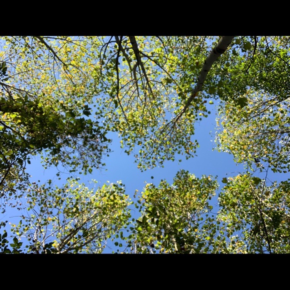 William Callwood - Poshmark Profile Picture of William Callwood (@williamc124) on Poshmark