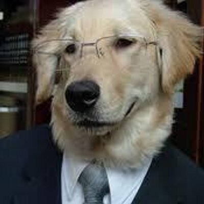 Profile Picture of David Caples (@dcaples1) on Twitter