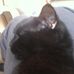 Profile Picture of Tobias Collins (@tobias.collins.50951) on Facebook