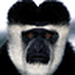 Profile Picture of Andy Wu (@Antonio Kwong) on Flickr