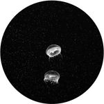 Profile Picture of Taylor Dayle Van Horn (@tvaann) on Instagram