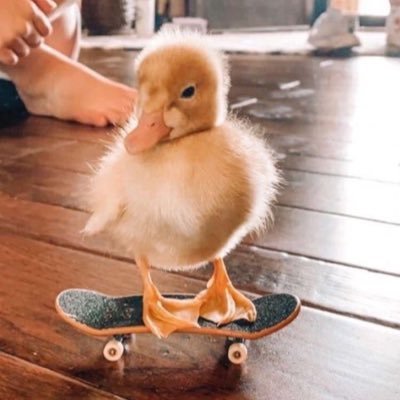 Profile Picture of Sara Laurent (@saralaurent__) on Twitter