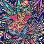 Profile Picture of Patrick Jankowski (@patricksnothereman) on Instagram