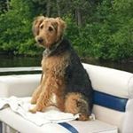 Profile Picture of Cori Quirt Bradley (@ckquirt) on Instagram