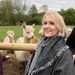 Profile Picture of Alice Spooner (@alicespooner) on Pinterest