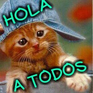 Profile Picture of david chuy gironda (@davidchuygironda) on Tiktok