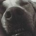 Profile Picture of Seth Tolbert (@seth1365) on Pinterest
