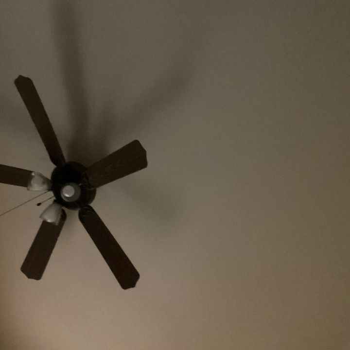 Profile Picture of Amanda Mayer (@amandamayer09) on Tiktok