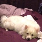 Profile Picture of Catherine Bobadilla-Deacon (@mintyminx) on Instagram