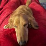 Profile Picture of Eva Dimiceli Clements (@eva.d.clements) on Instagram