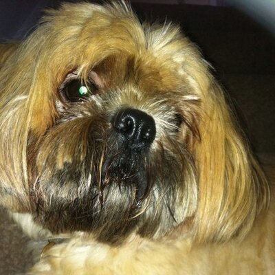 Profile Picture of Jim (@jim_lorenz) on Twitter