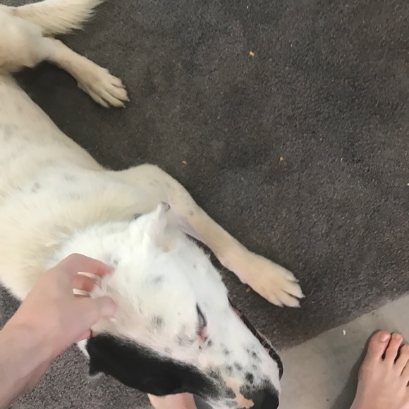 Profile Picture of Sean Mcgovern (@seanmcgovern) on Poshmark