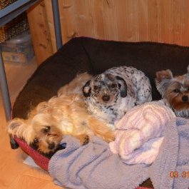 Profile Picture of Brad Spears (@BradSpears18) on Twitter