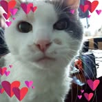 Profile Picture of Marshel Boxrucker (@marshel.boxrucker) on Facebook