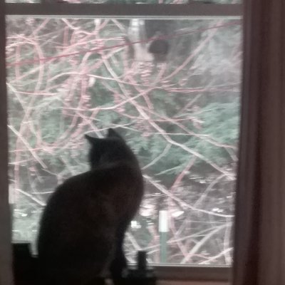 Profile Picture of Charles Olmstead (@CharlesOlmste11) on Twitter