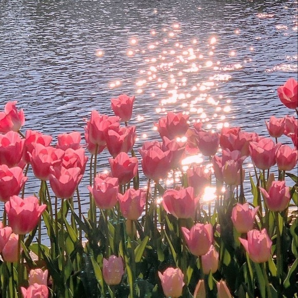 Profile Picture of Andy Ramsey (@andy_ramy) on Poshmark