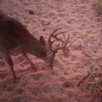 Derrick Pate - Twitter Profile Picture of Derrick Pate (@derrickpate) on Twitter