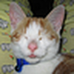 Profile Picture of Chris & Melissa & Colby (@Chris & Melissa & Colby) on Flickr