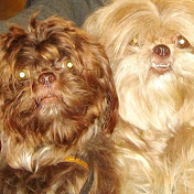 Profile Picture of Ch Manuel Barreda Ch (@chmanuelbarredach5050) on Youtube