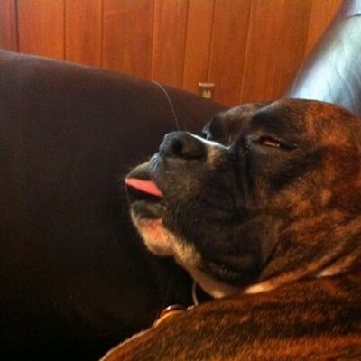Profile Picture of David Beasley (@drbeasley) on Twitter
