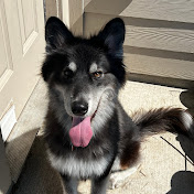 Profile Picture of T. Jackson Armstrong (@t.jacksonarmstrong9363) on Youtube