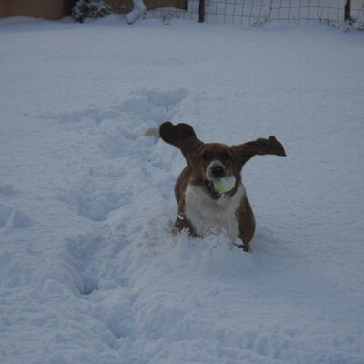 Profile Picture of Andy,romain,loic (@@les2befrites) on Twitter