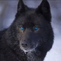 Profile Picture of Joshua Kaiser (@joshua-kaiser-7) on Quora