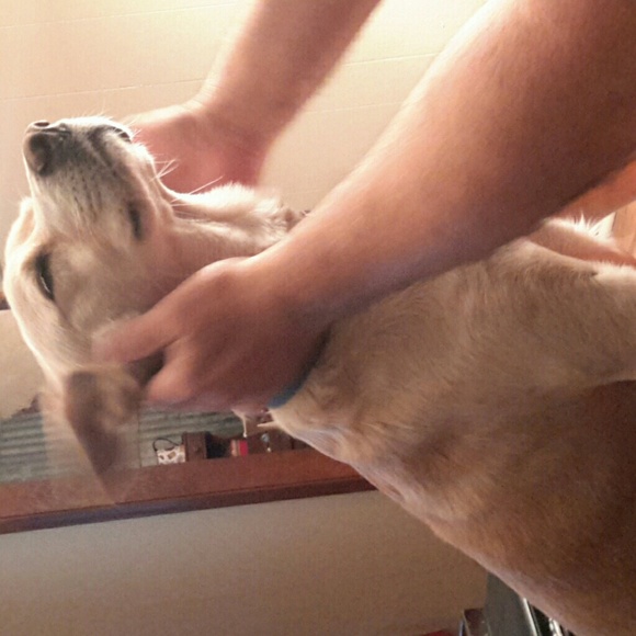 Profile Picture of Robin Mcnabb (@texasrob1) on Poshmark