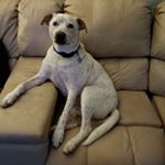 Profile Picture of Paul Tannahill (@paultannahill) on Instagram