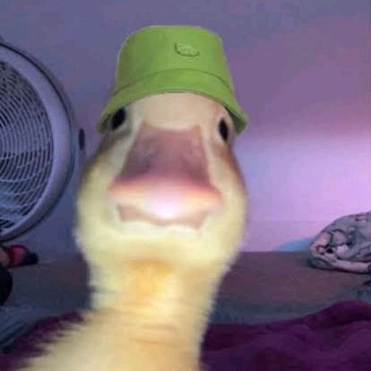 Profile Picture of smokie (@alice_waris) on Tiktok