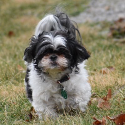 Profile Picture of Kevin Stroud (@KevinStroud_44) on Twitter