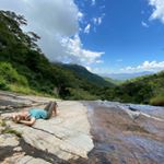 Profile Picture of Dominique Harrison (@dmharrison4) on Instagram