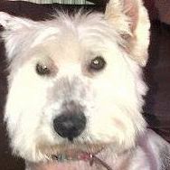 Profile Picture of ianwez (@ianwez) on Tiktok