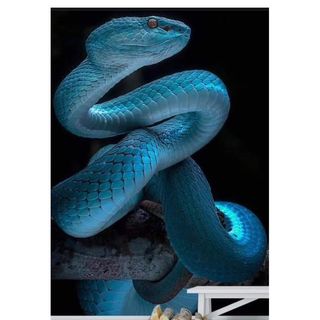 Profile Picture of Diana Luders (@diana.luders.50) on Facebook
