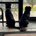 Hall A Day Lights - Facebook Profile Picture of Hall A Day Lights (@Hall-A-Day-Lights) on Facebook