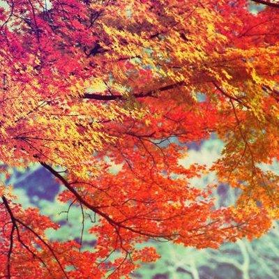 Profile Picture of Alita Jones™ (@AlitaJones_MD) on Twitter