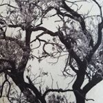 Profile Picture of Karen Larsen (@karenlarsen1994) on Instagram