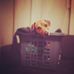 Profile Picture of Tony Tango (@tony.tango.370) on Facebook