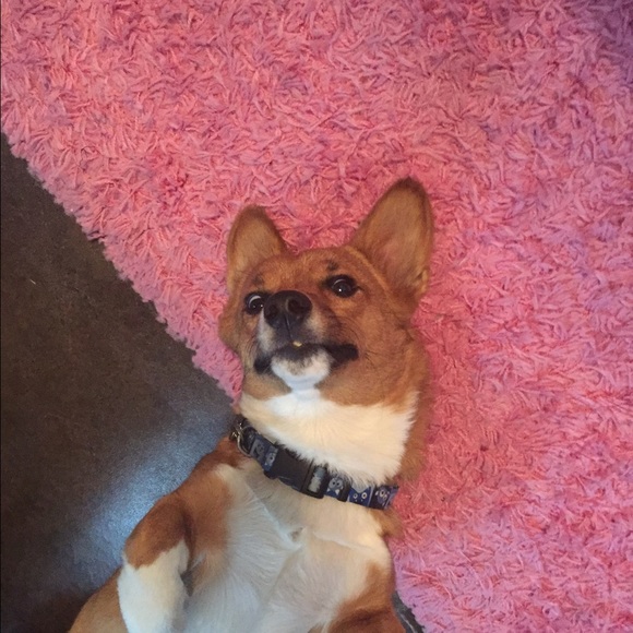 Profile Picture of Ruth Hudson (@ruthhudson) on Poshmark