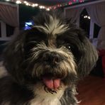 Profile Picture of Eric Slade (@eric.slade.94) on Facebook