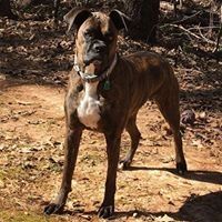 Scott Saxton - Pinterest Profile Picture of Scott Saxton (@trisax62) on Pinterest