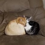 Profile Picture of Jon Driscoll (@jon.driscoll.18) on Instagram