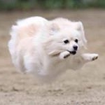 Profile Picture of cindy hobby (@hobbycindy) on Instagram